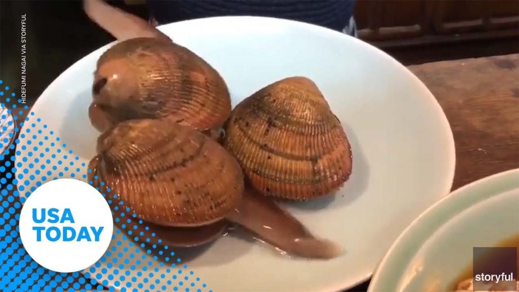 Live shellfish is served at this restaurant in Japan | USA TODAY Live shellfish is served at this restaurant in Japan | USA TODAY