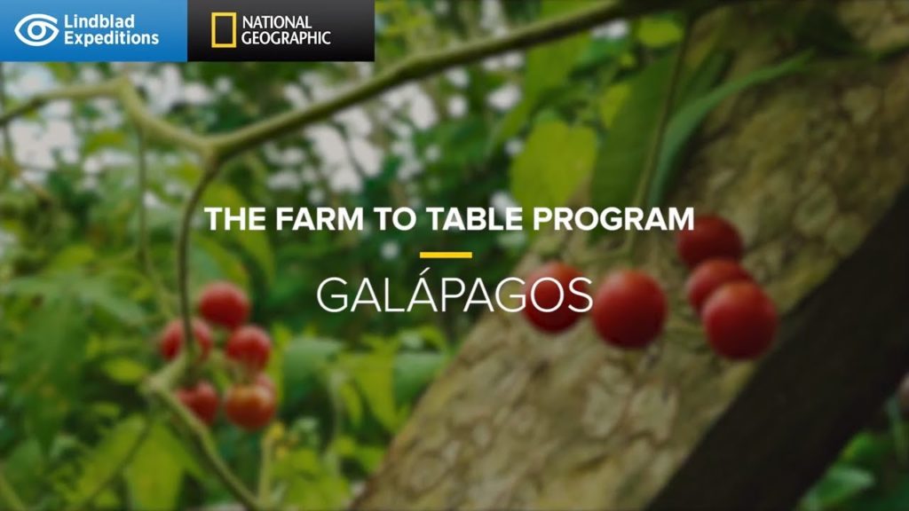 The Farm to Table Program | Galápagos | Lindblad Expeditions-National Geographic