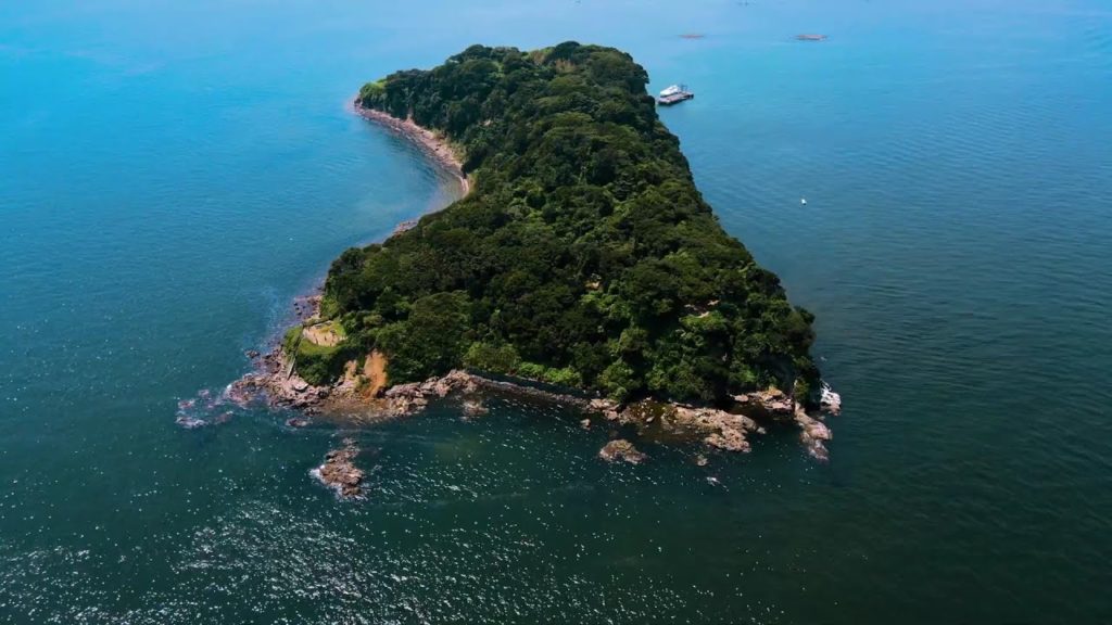 This Summer Coming Soon | 2020 4K