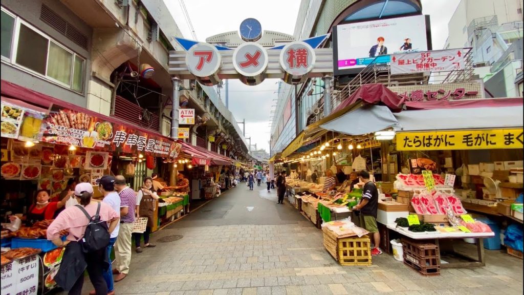 【4K】Walk on Ameyoko,Ueno(上野,アメ横,不忍池) in Tokyo(東京散歩)【2020】 【4K】Walk on Ameyoko,Ueno(上野,アメ横,不忍池) in Tokyo(東京散歩)【2020】