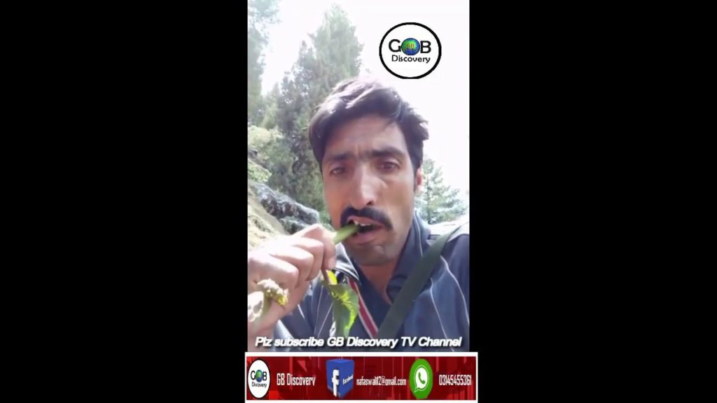 GB Survival Imran Nago || Gahkuch Nala || GB Discovery