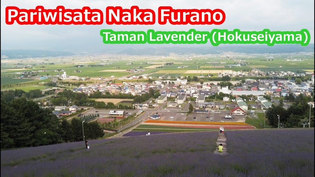 【Jalan-jalan Hokkaido Pemandangan】NakaFurano Hokuseiyama Taman lavender 2020.7.11中富良野 北星山ラベンダー園