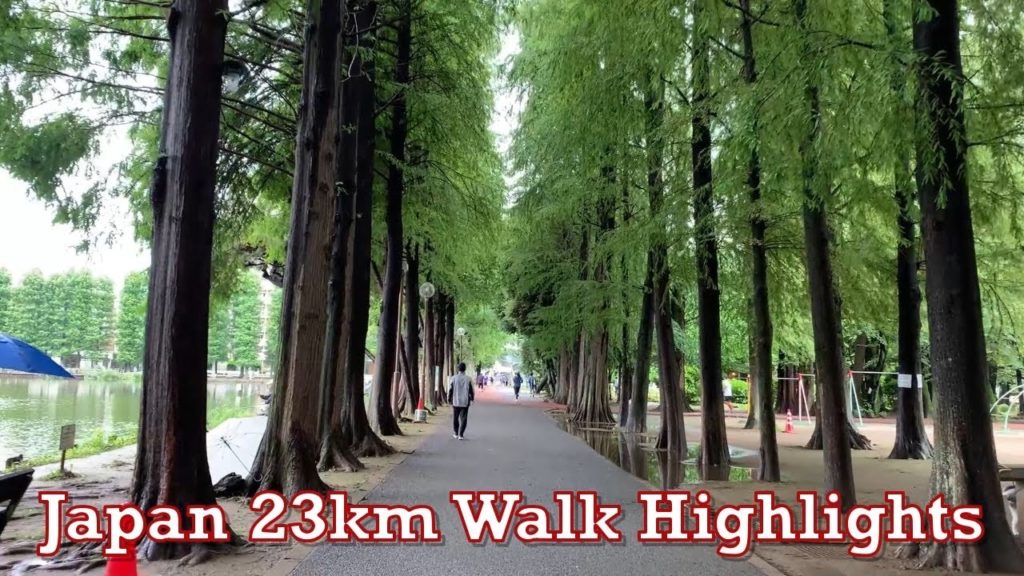 Japan 23km Rain Walk Highlights Omiya Tokyo Suburb Lake River Park Residential Area Ambient Sound
