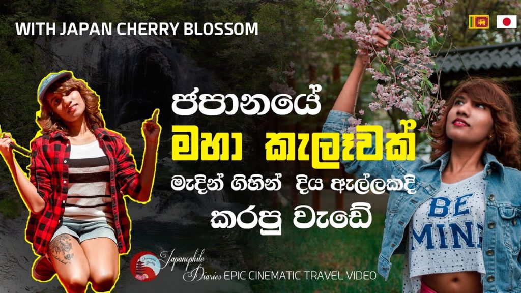 ජපානයේ මහා කැලෑවක් මැදින් ගිහින් දිය ඇල්ලකදි කරපු වැඩේ | ROAD TRIP | With Japan Cherry Blossom | 4K ජපානයේ මහා කැලෑවක් මැදින් ගිහින් දිය ඇල්ලකදි කරපු වැඩේ | ROAD TRIP | With Japan Cherry Blossom | 4K
