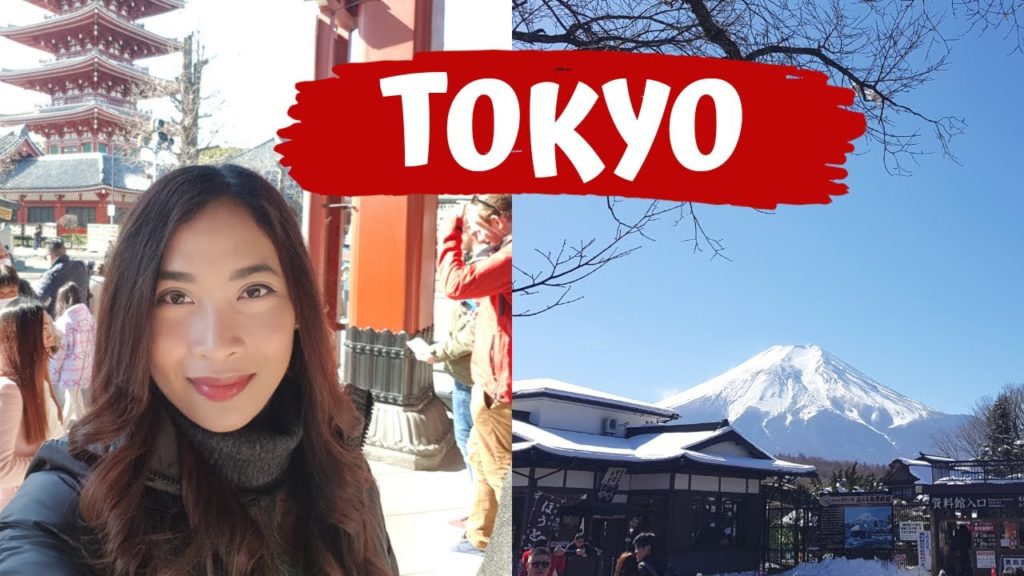 TOKYO and MT. FUJI | Winter in Japan | JAPAN VLOG
