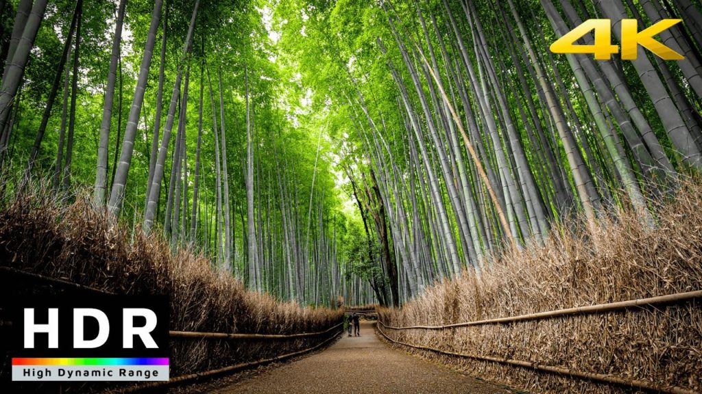 【4K HDR】Walk in Kyoto Arashiyama Bamboo & Kimono Forests - Summer 2020