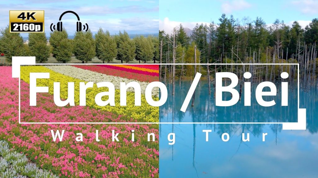 [4K/Binaural Audio] Furano / Biei Walking Tour - Hokkaido Japan