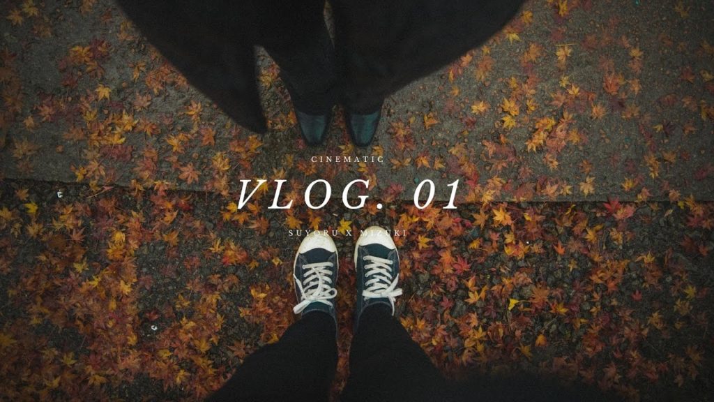 한국인 남자 일본인 여자 첫 여행 브이로그 | Shizuoka, Japan