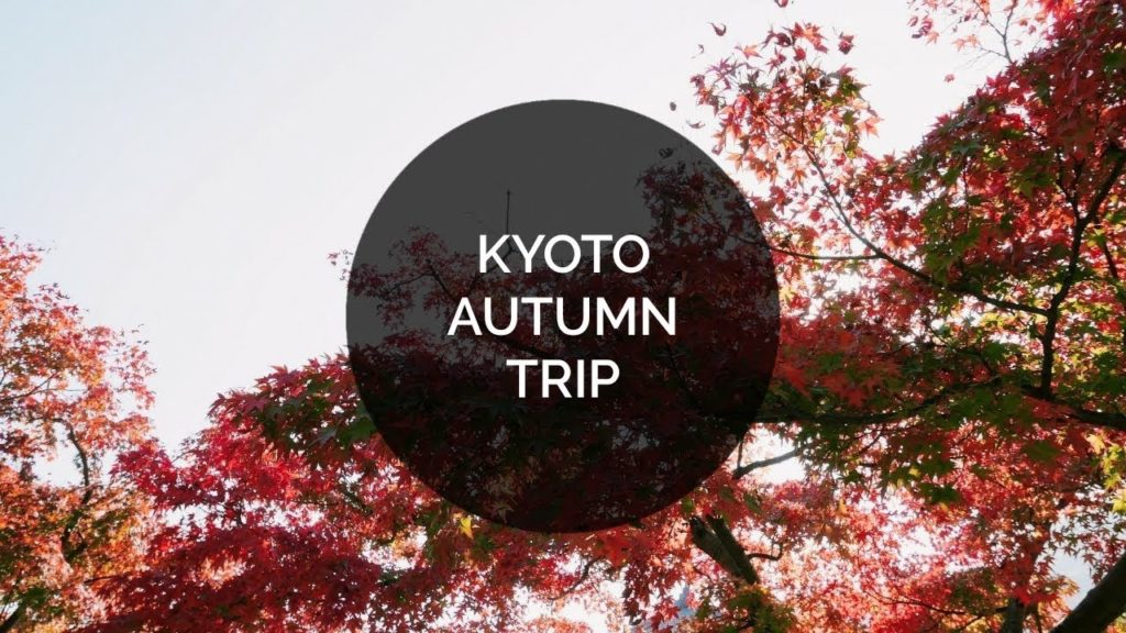 KYOTO AUTUMN TRIP – 2018 KYOTO AUTUMN TRIP - 2018