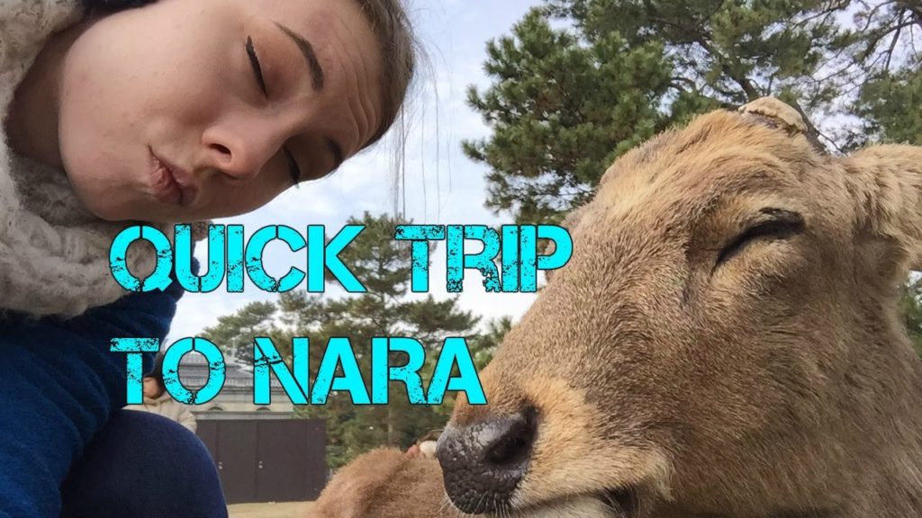 Traveling Around: Quick Trip to Nara