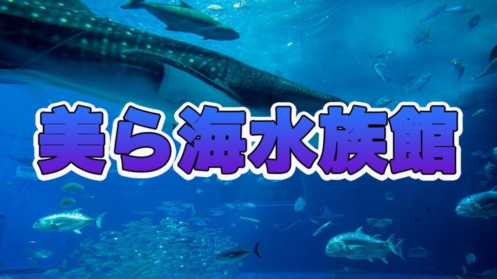 【沖縄 4K】美ら海水族館の散歩