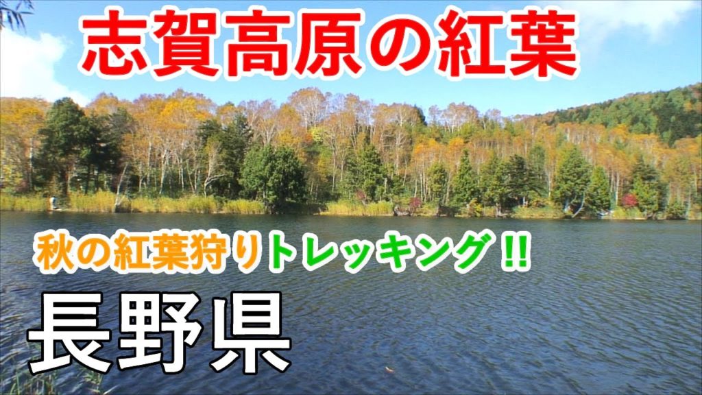 長野県 志賀高原の紅葉トレッキング(木戸池・四十八池・大沼池) / Autumn leaves trekking in Shiga Kogen ( Nagano, Japan )【日本の紅葉絶景!】 長野県 志賀高原の紅葉トレッキング(木戸池・四十八池・大沼池) / Autumn leaves trekking in Shiga Kogen ( Nagano, Japan )【日本の紅葉絶景!】