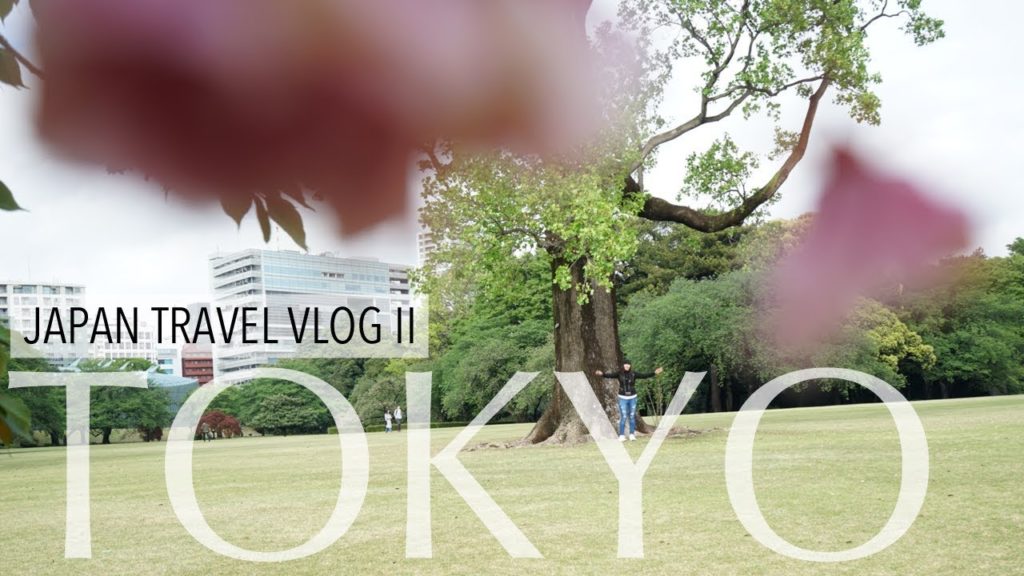 Visiting the Tokyo Landmarks + Amazing Sushi + Japanese BBQ | TRAVEL VLOG
