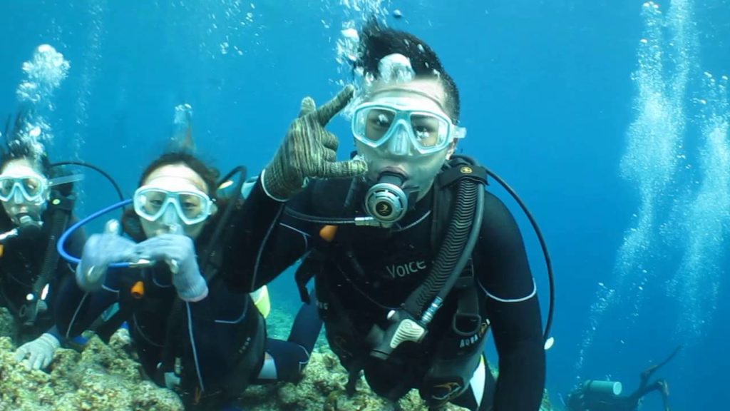 Okinawa Diving Shop VoicePlus