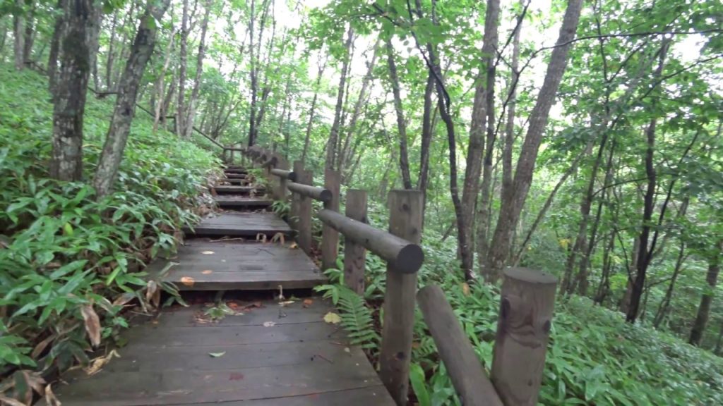 Hiking through Kushiro Marsh in Hokkaido Hiking through Kushiro Marsh in Hokkaido