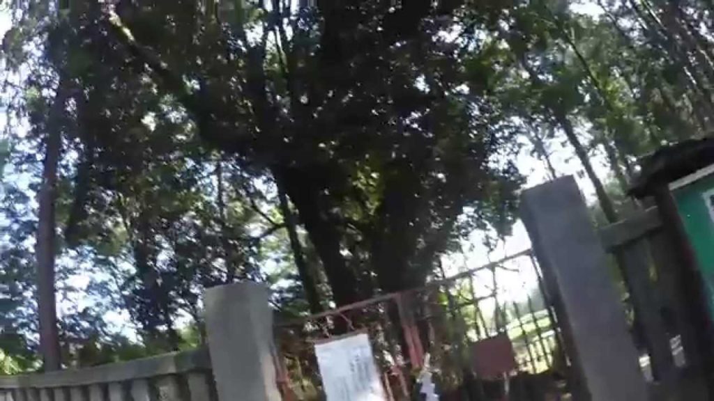 社殿のない原始的富士山信仰　/山宮浅間神社　/富士宮市