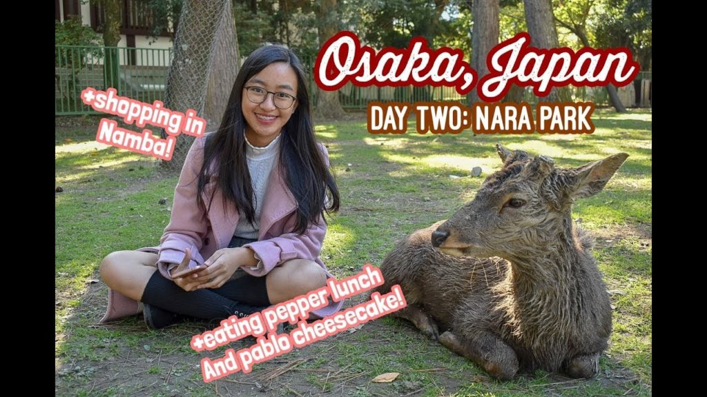 [TRAVEL VLOG] A DEER-ightful visit to Nara! + Eating & Shopping (Osaka Day 2)/ jamie beatrice