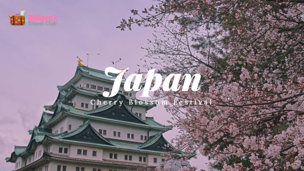 Japan for the Cherry Blossom Festival