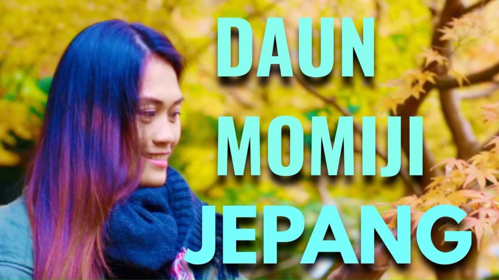 LIBURAN MUSIM GUGUR DI JEPANG – CHOFU GARDEN SHIMONOSEKI – TEMPAT WISATA DI YAMAGUCHI #2 LIBURAN MUSIM GUGUR DI JEPANG - CHOFU GARDEN SHIMONOSEKI - TEMPAT WISATA DI YAMAGUCHI #2