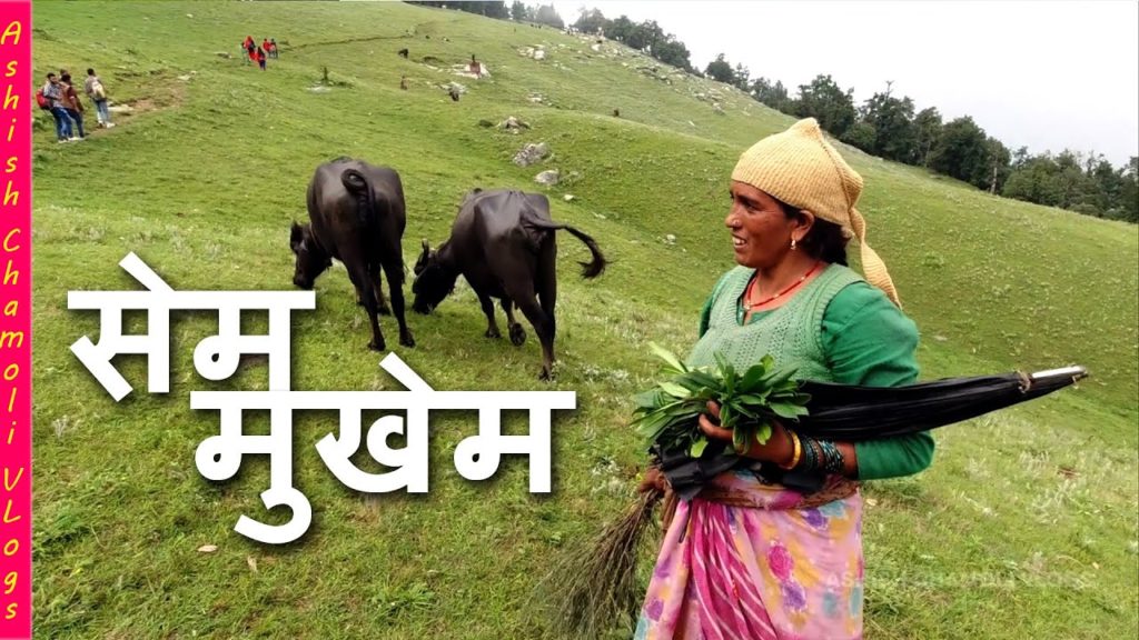 Sem Mukhem Sem Nagraja (सेम नागराज सेम मुखेम) || Travel with  Ashish Chamoli vlogs