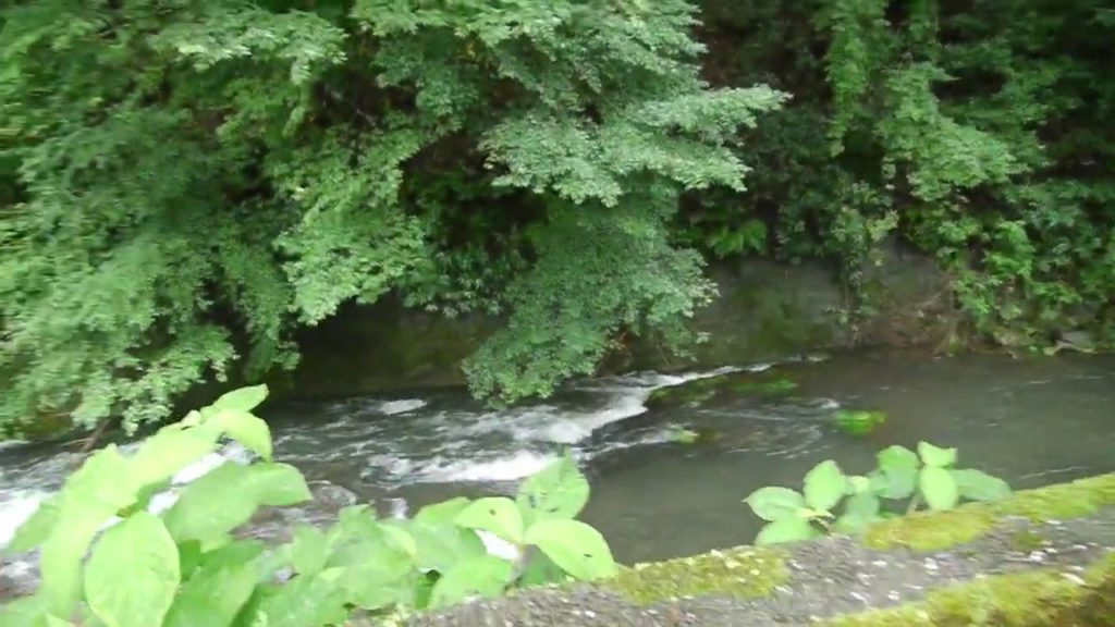 Beautiful Japan -1, Izu Yoshina-onsen, Tofuya ryokan, Shizuoka pref.  伊豆、吉奈温泉、東府や旅館、静岡県