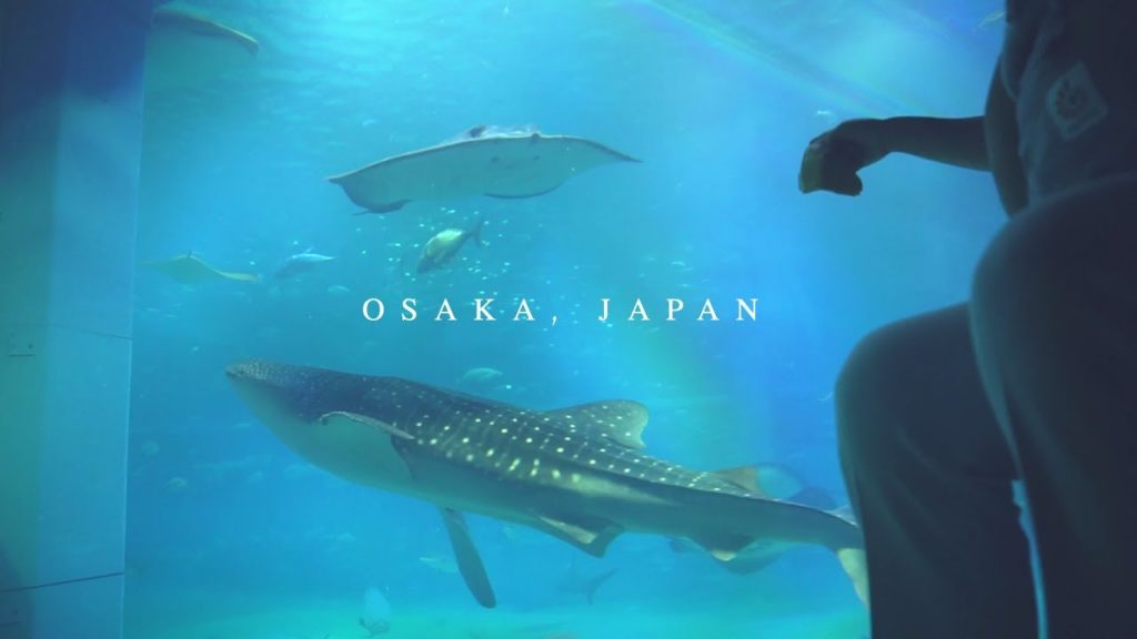 Osaka Aquarium Japan in 4k / Japan Travel Guide