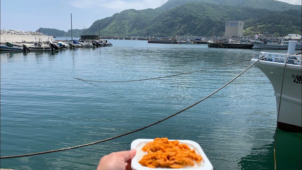 Japan Travel 99 Hokkaido 6 Go eat sea urchin