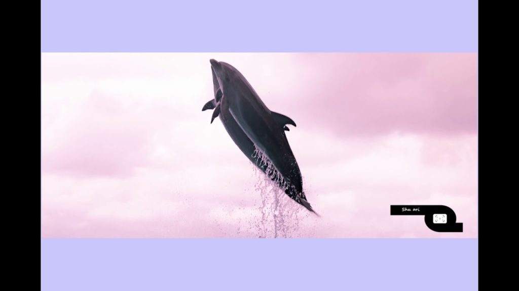 沖縄の秘境 写真 Travel photo in OKINAWA JAPAN You must come 沖縄の秘境 写真 Travel photo in OKINAWA JAPAN You must come