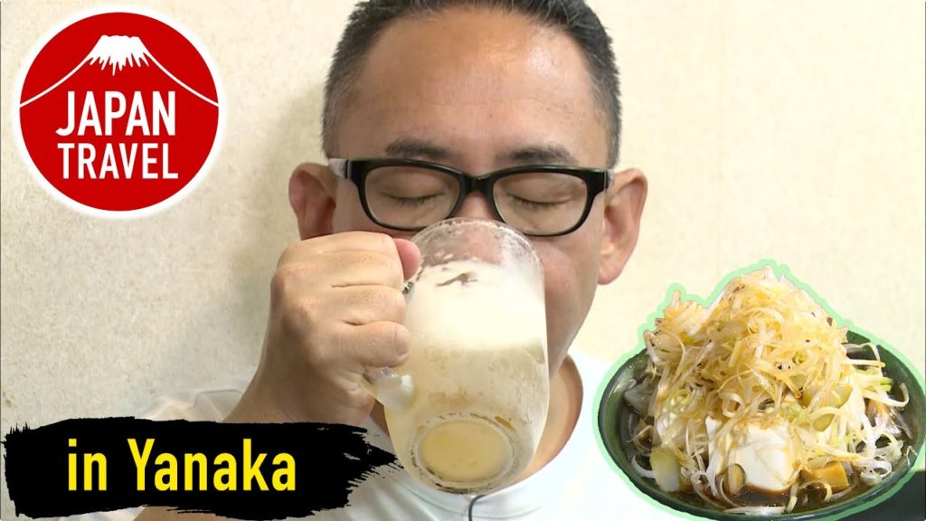 Japan Travel Yanaka  -CHOTTOTEI-