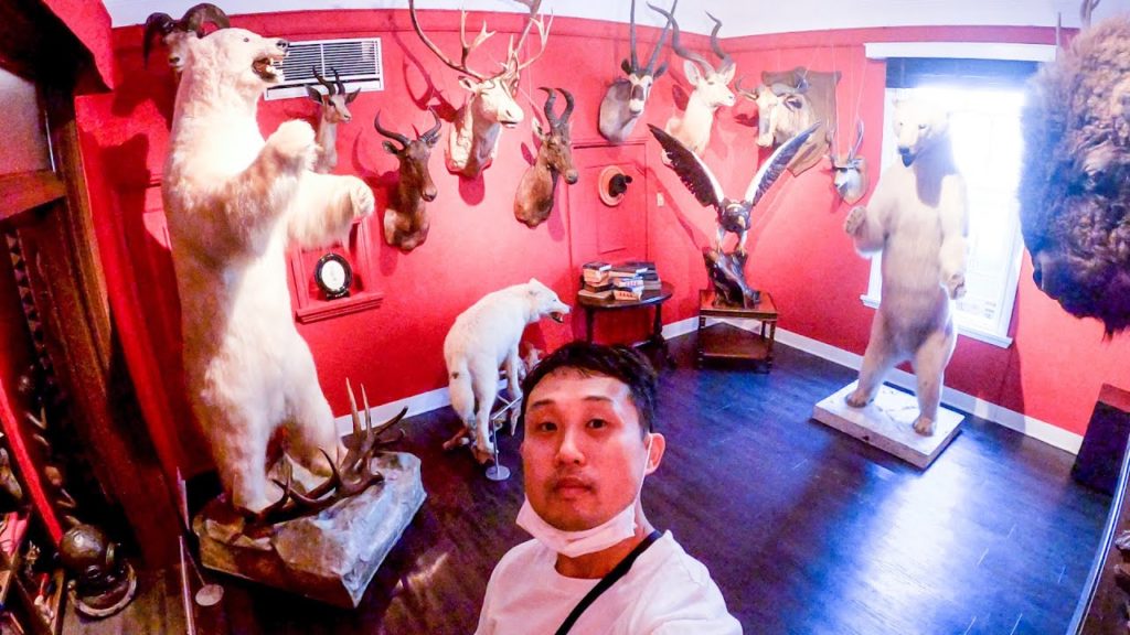 4K AMAZING 19TH CENTURY FAMOUS DISTRICT W/ WESTERN MANSIONS IN KOBE | A DAY IN KOBE | KITANO IJINKAN