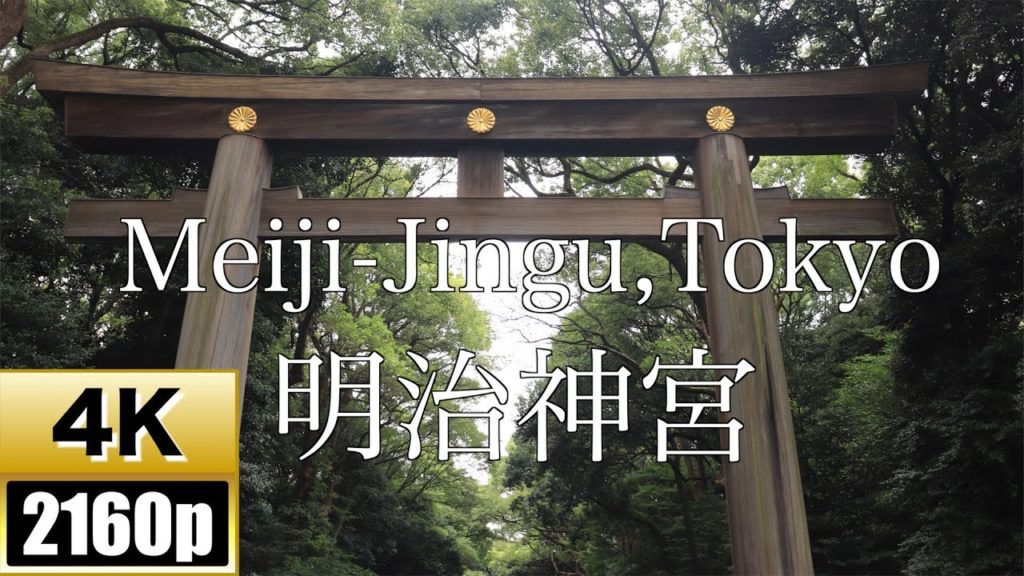【4K】Walking Meiji Jingu,Tokyo,japan - 明治神宮【Harajuku】【原宿】