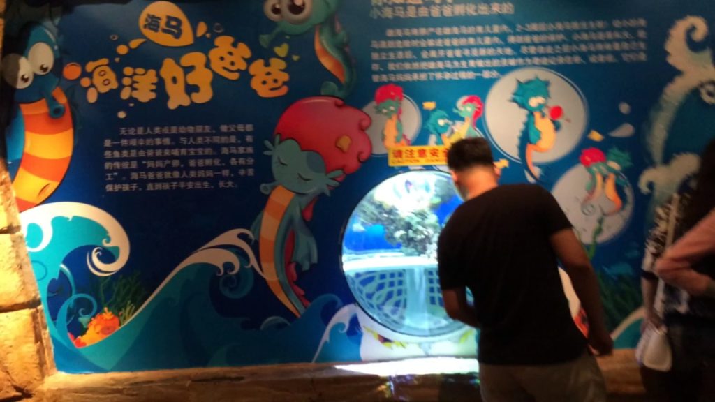 Beijing Aquarium - Beijing - China (2)