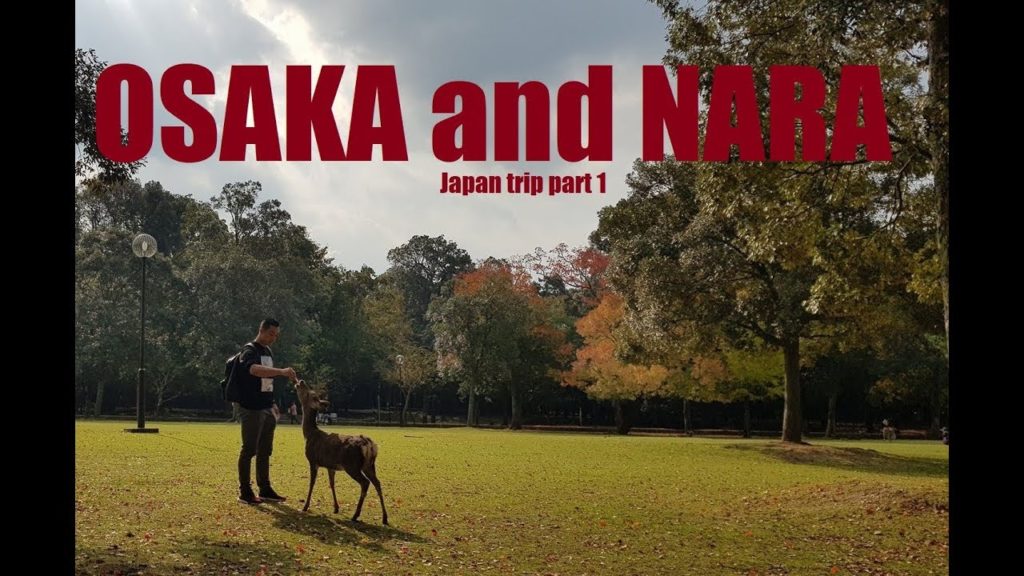 Osaka and Nara park - Japan trip part 1