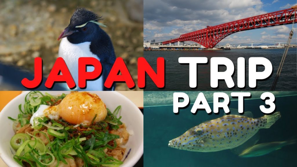 My First Trip to Japan Series- Part 3