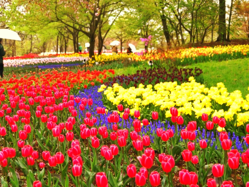 Spring at Alps Azumino National Park, Nagano - May 2019[OC]