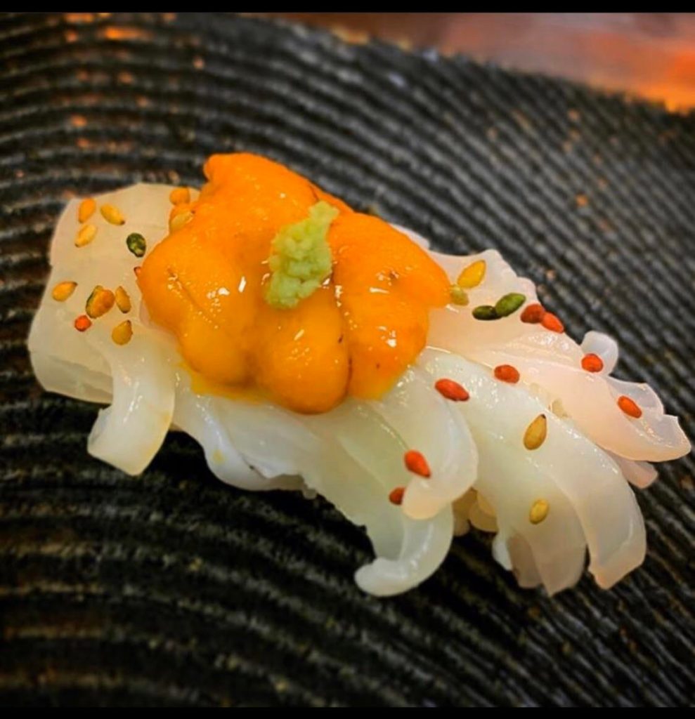 Squid and sea urchin