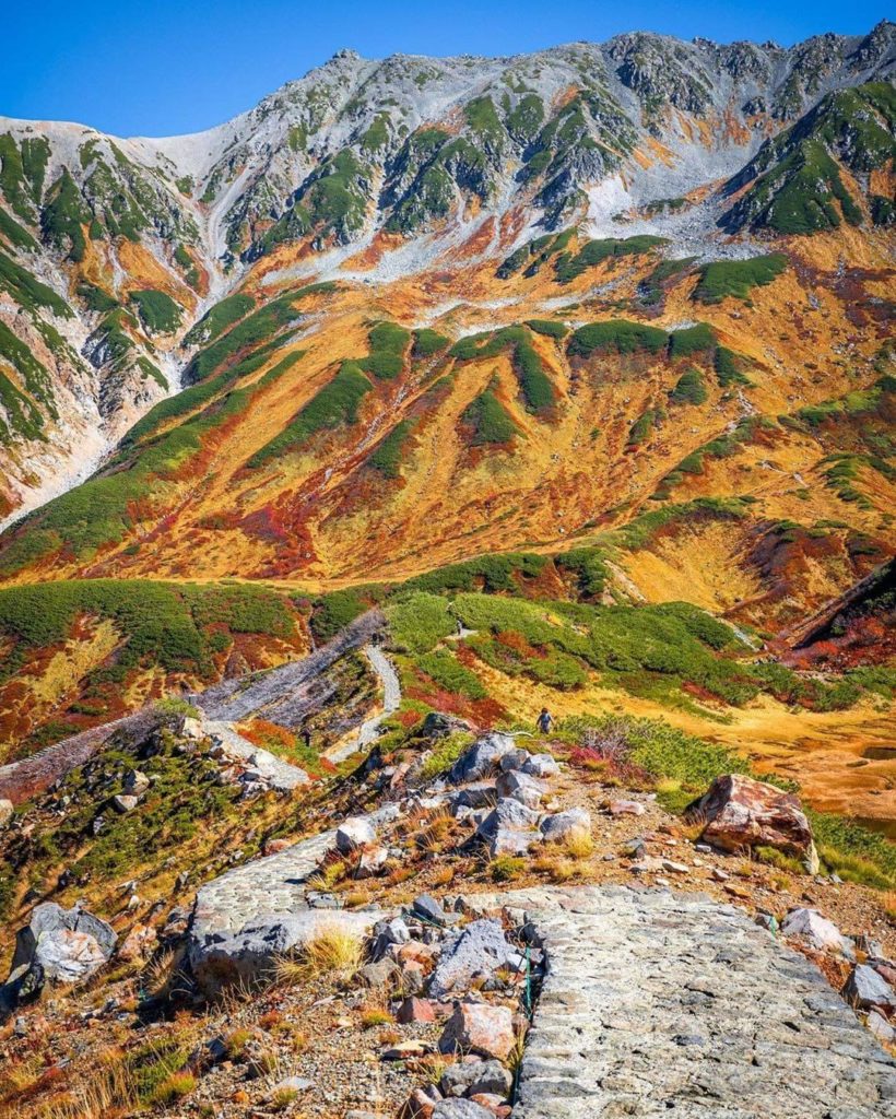 Check out this rare scene of Murodo-daira dyed yellow during the fall months. Lo...