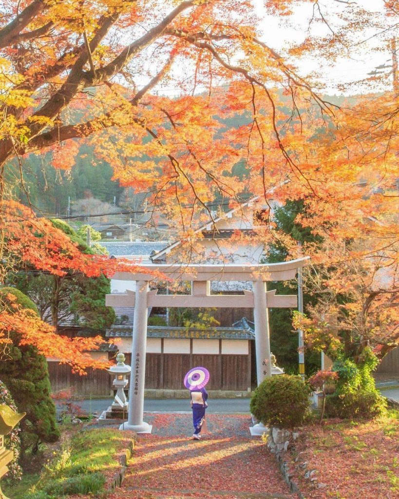 Japan Travel: We were immediately drawn to the colors in this photo from @anakichi0325 – they’… We were immediately drawn to the colors in this photo from @anakichi0325 - they'...