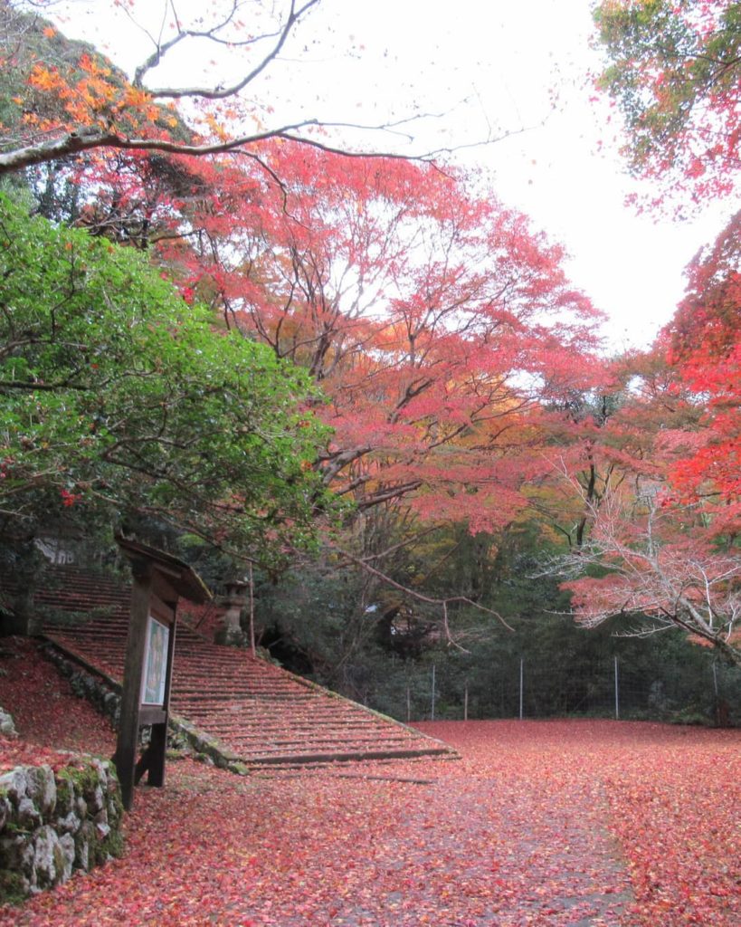 We've rolled out the red carpet for your arrival at Gakuenji Temple. 
 Located h...
