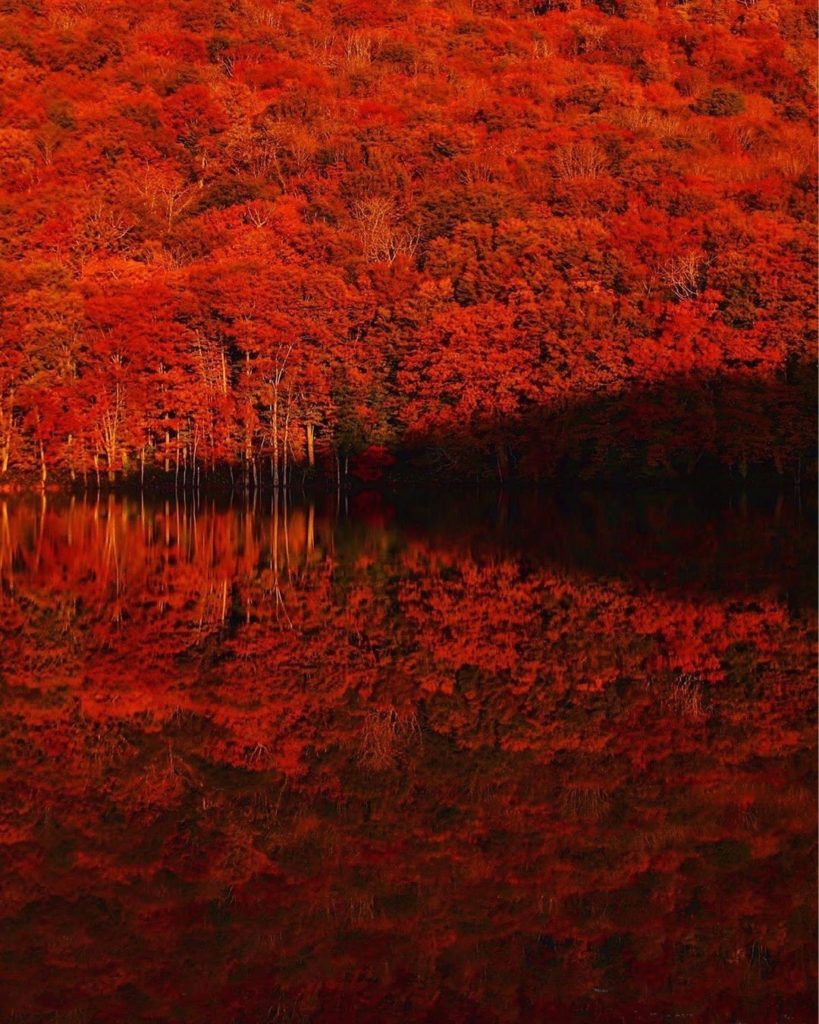 Get a gorgeous view of the red leaves reflecting on the water’s surface at Tsuta...
