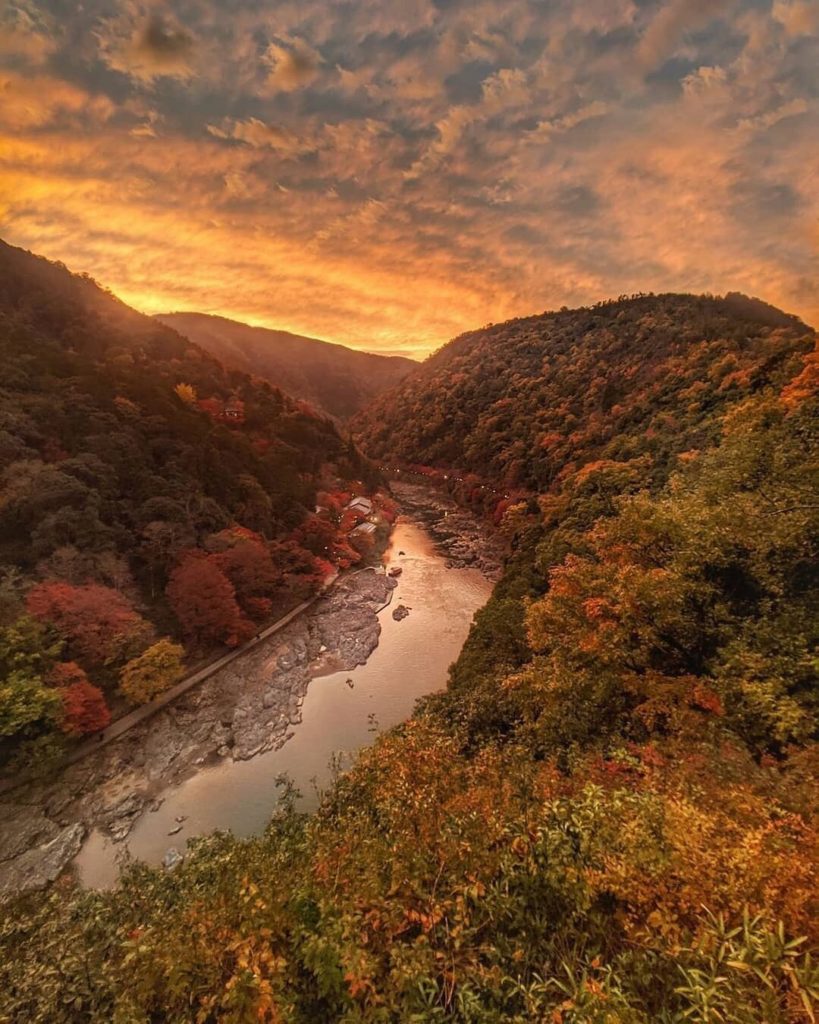 Visit Japan: Every year from mid-November to early December, the leaves of Hozukyo Gorge chan… Every year from mid-November to early December, the leaves of Hozukyo Gorge chan...