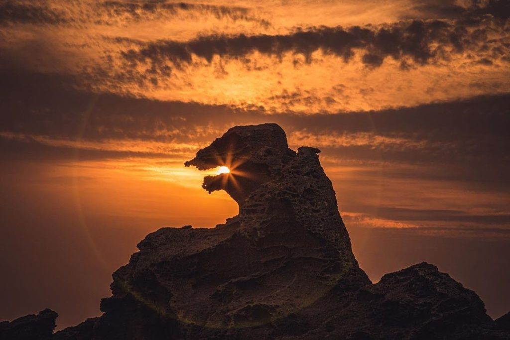 Can you guess where Godzilla Rock in Akita Prefecture got its name? Maybe it's a...