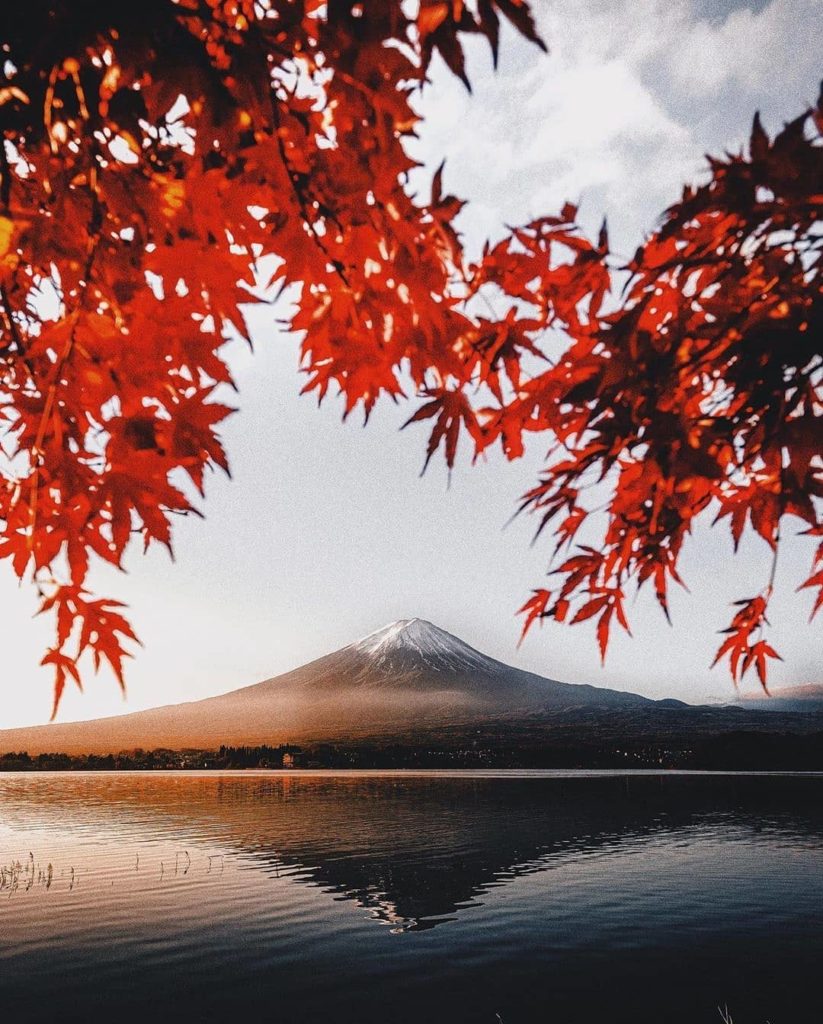 What were your favourite spots to enjoy the autumn leaves in Japan? Tell us in t...