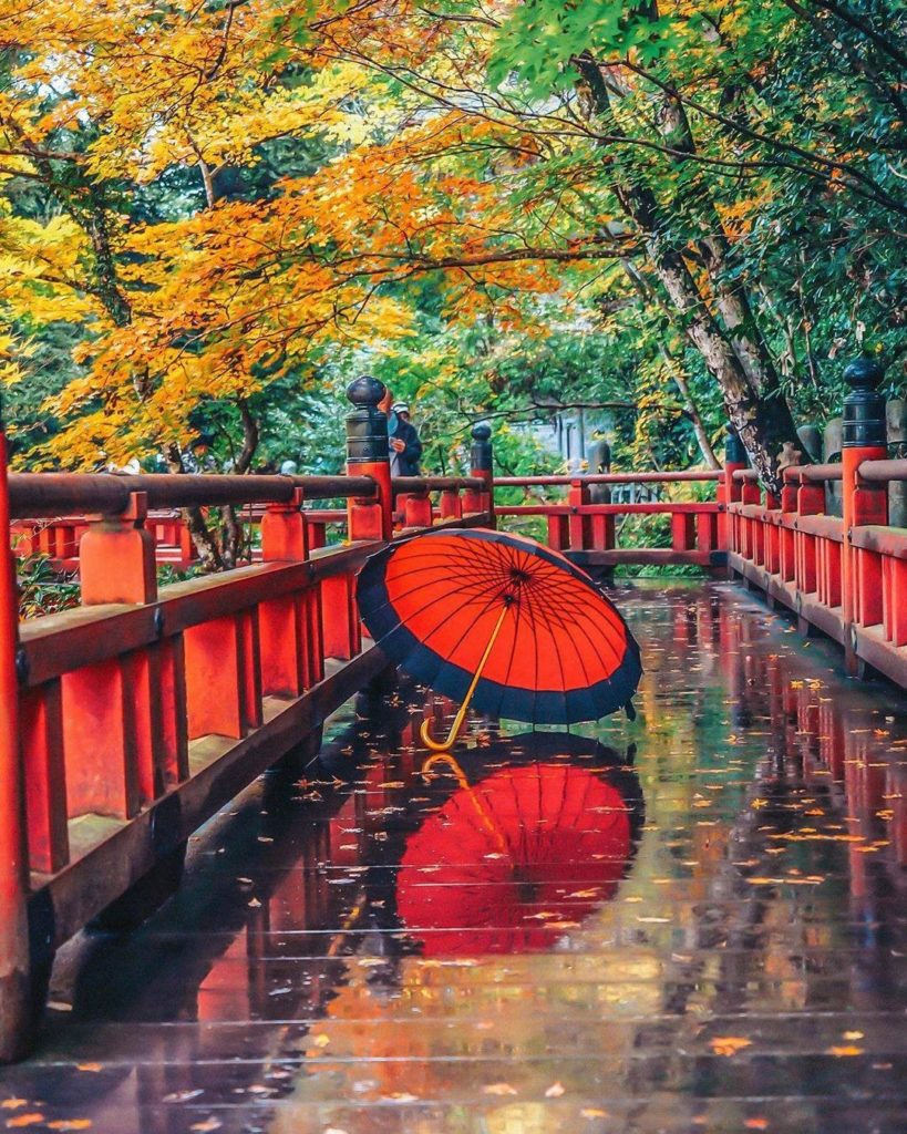 For the next month or so, you're probably going to see a pretty significant numb...