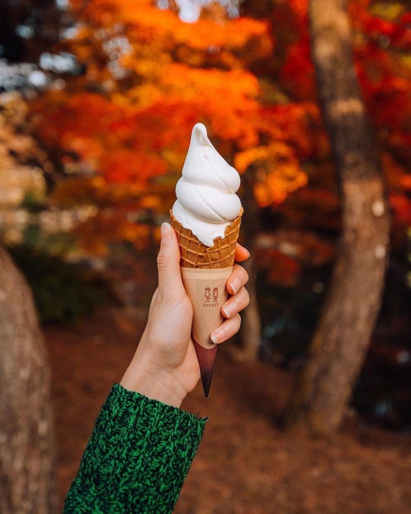 No matter the season - a Japanese soft serve is ALWAYS a good idea! What's your ...