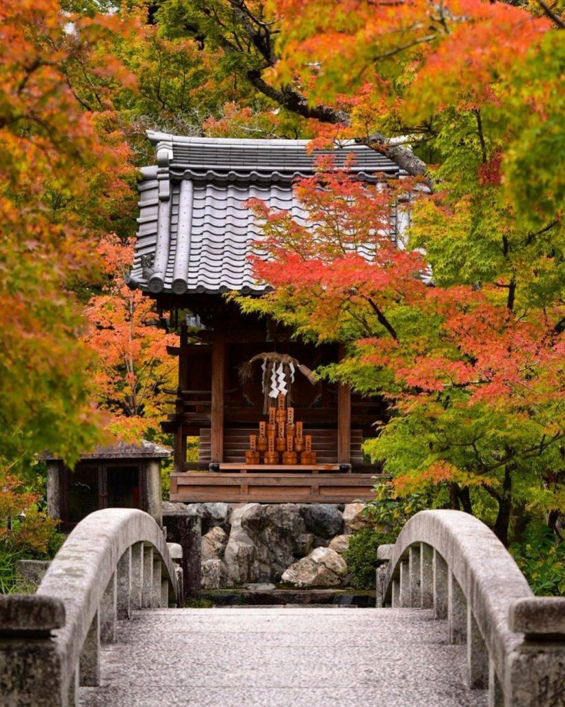 It was the philosopher and author Albert Camus who said "autumn is a second spri...