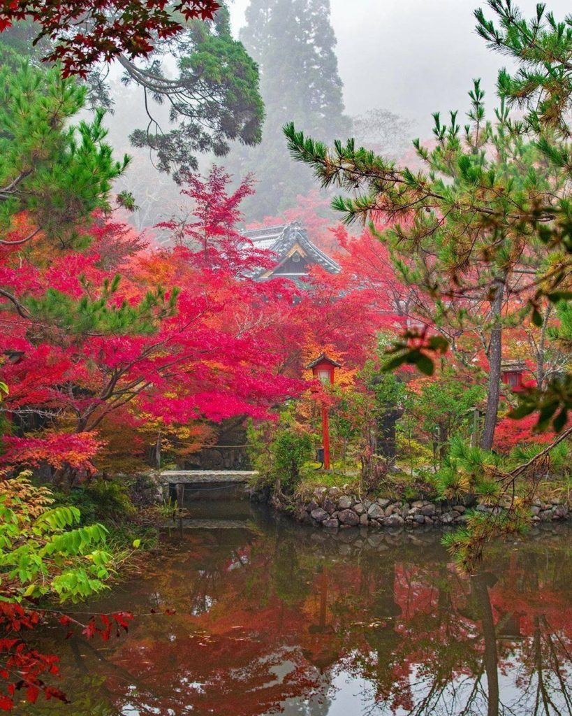 Japan Travel: Magical, mystical mornings in Kameoka City, Kyoto Prefecture.
: @katsu_e46
—… Magical, mystical mornings in Kameoka City, Kyoto Prefecture.
: @katsu_e46
---...