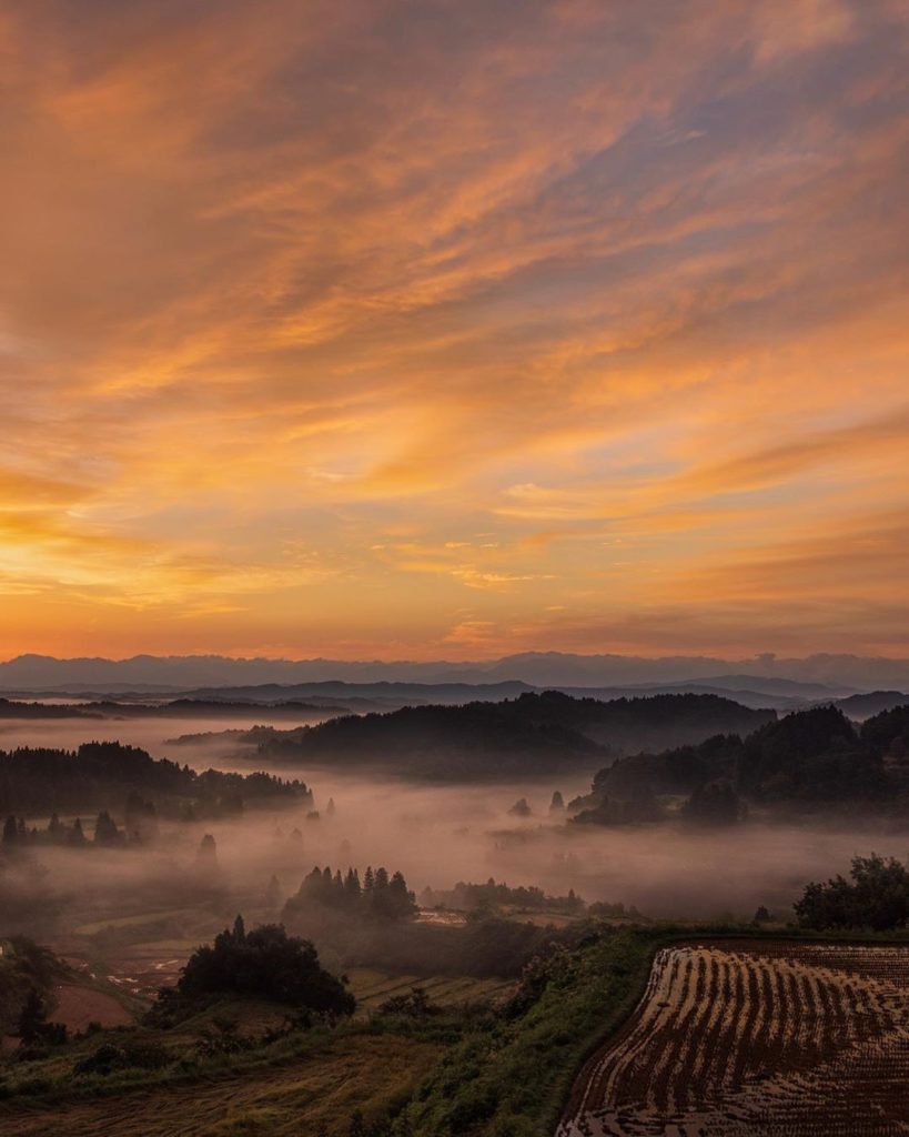 Visit Japan: Look at how the light illuminates the rice terraces! Located in Niigata Prefectu… Look at how the light illuminates the rice terraces! Located in Niigata Prefectu...