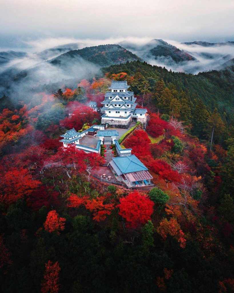 Gifu's Gujo Hachiman castle is surrounded by Japanese maple trees, making it a t...