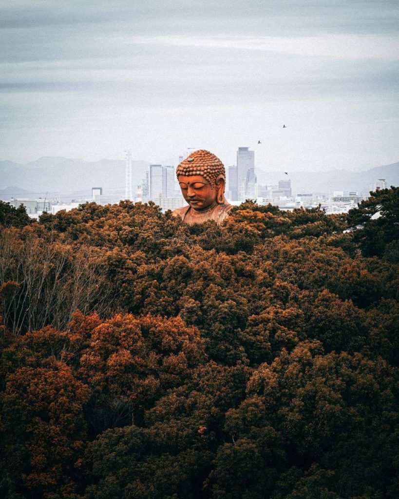 Get a great view of Buddha's head emerging from the woods at the Great Buddha of...